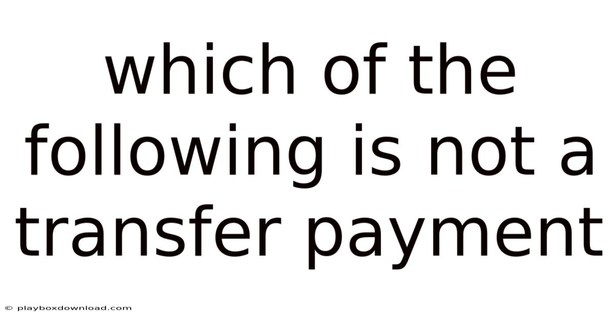 Which Of The Following Is Not A Transfer Payment