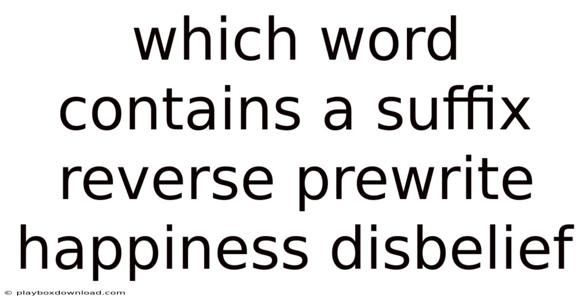 Which Word Contains A Suffix Reverse Prewrite Happiness Disbelief
