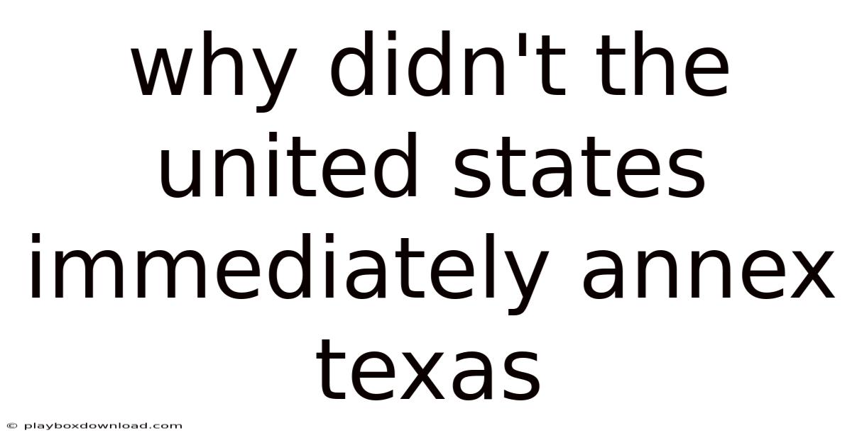 Why Didn't The United States Immediately Annex Texas