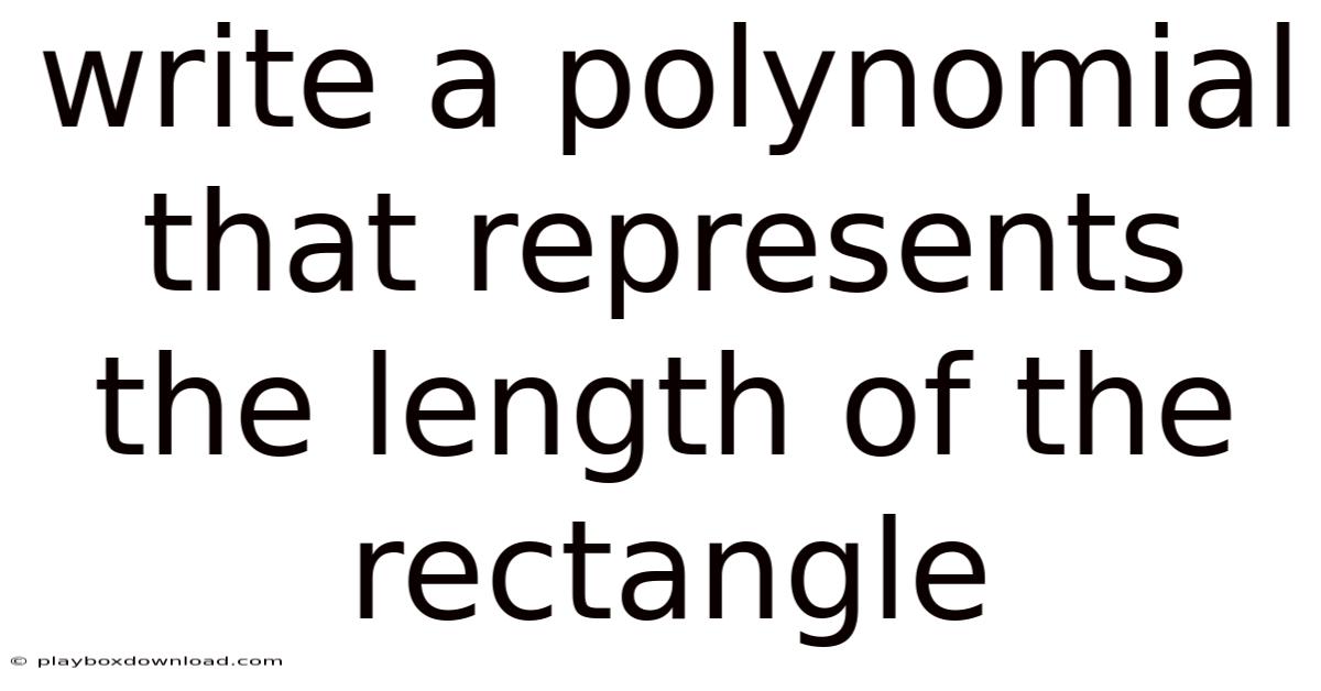 Write A Polynomial That Represents The Length Of The Rectangle